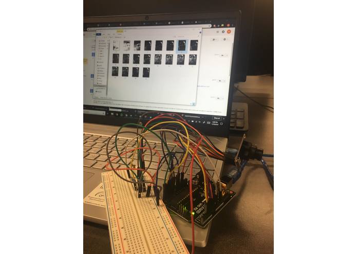 Vine Assist – screenshot 1