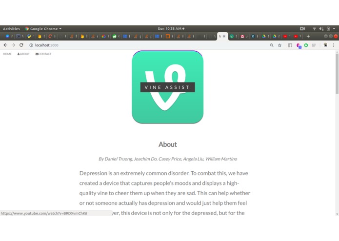 Vine Assist – screenshot 2