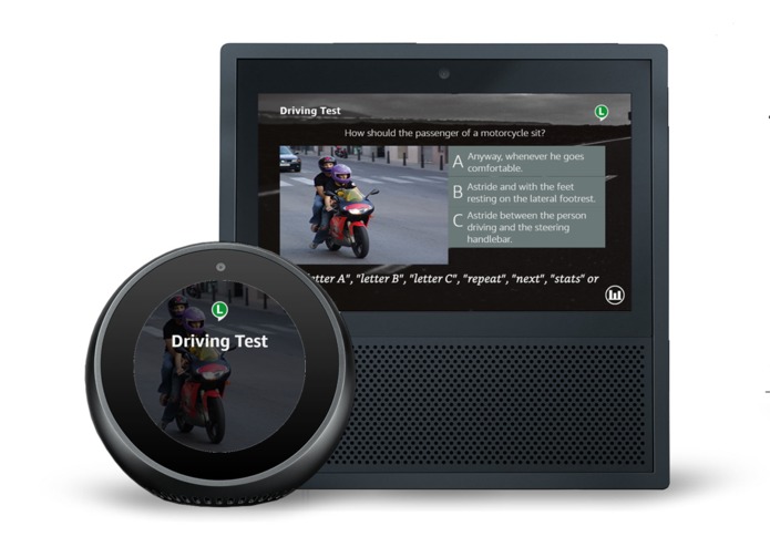 Driving Test – screenshot 1