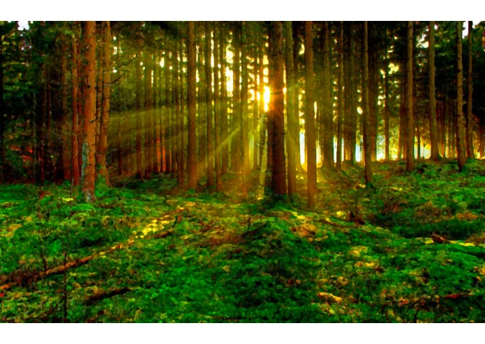 The Princess Trail – screenshot 4