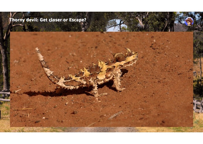 Surviving Australia – screenshot 3