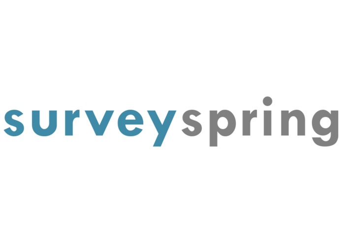 Survey Spring – screenshot 1