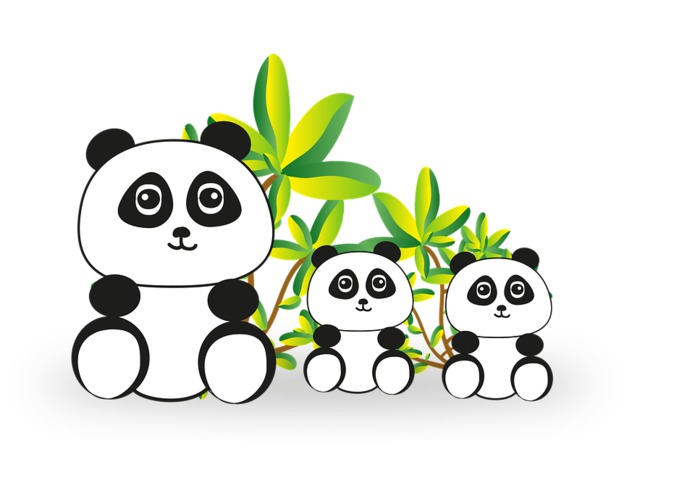 China Trivia with Alexa APL – screenshot 1