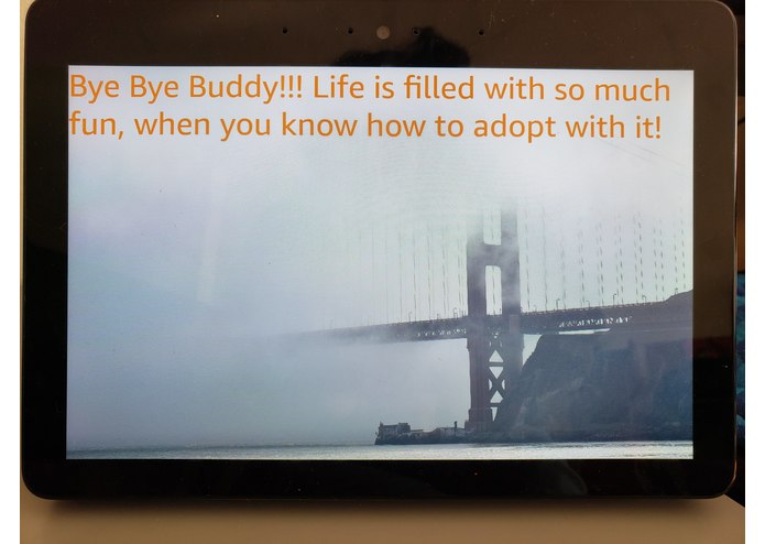 Bye Buddy! – screenshot 1