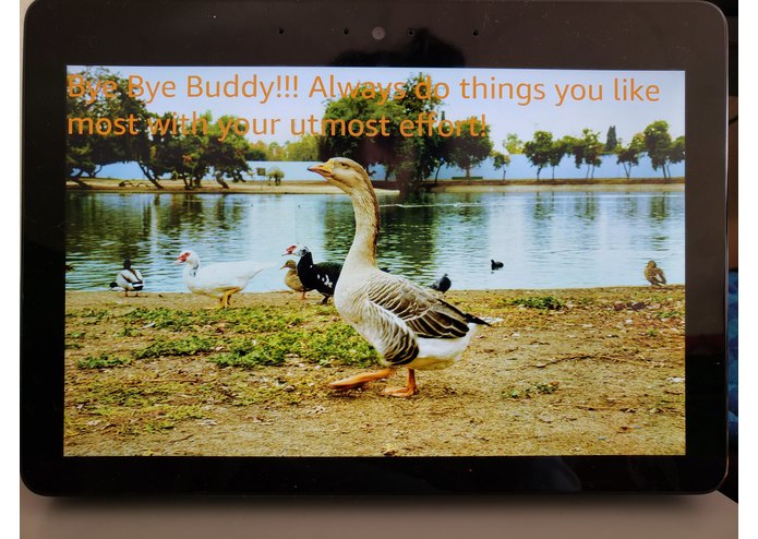 Bye Buddy! – screenshot 2