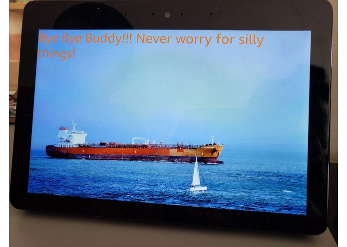 Bye Buddy! – screenshot 4