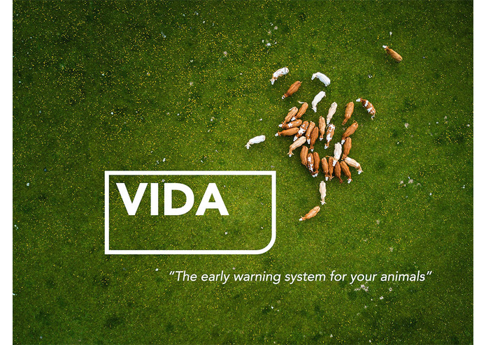 VIDA – screenshot 1