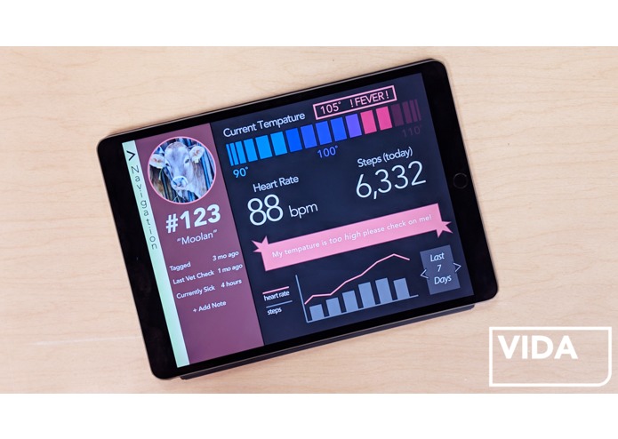 VIDA – screenshot 3