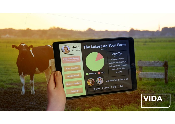 VIDA – screenshot 2