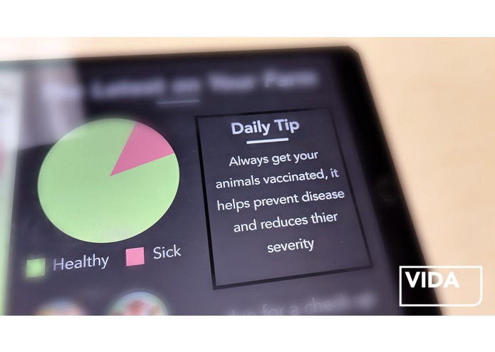 VIDA – screenshot 4