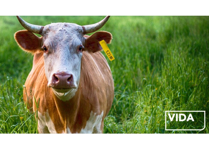 VIDA – screenshot 5