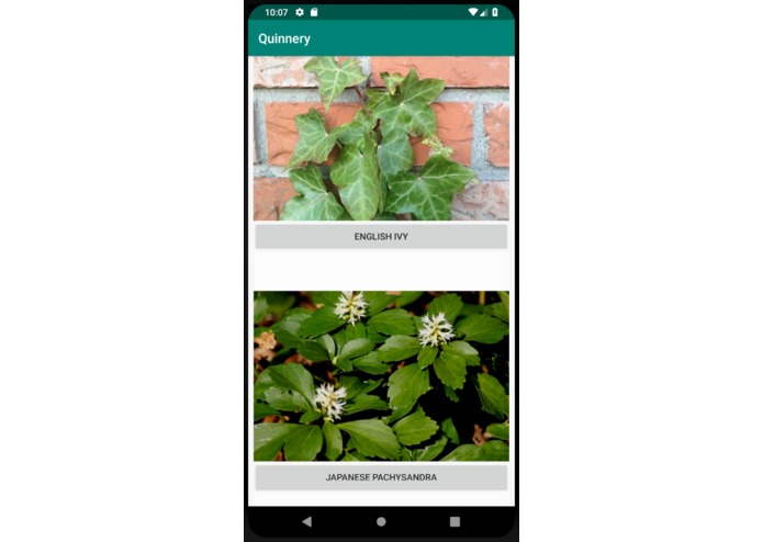 Quinnery – screenshot 5