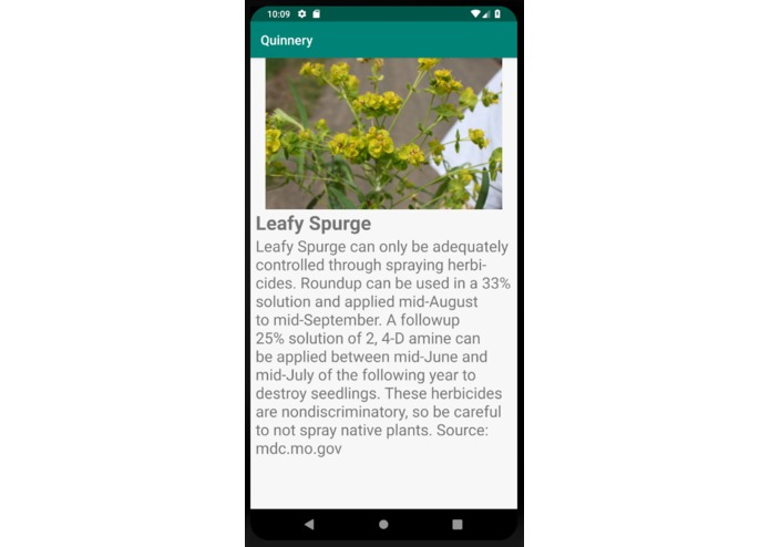Quinnery – screenshot 6