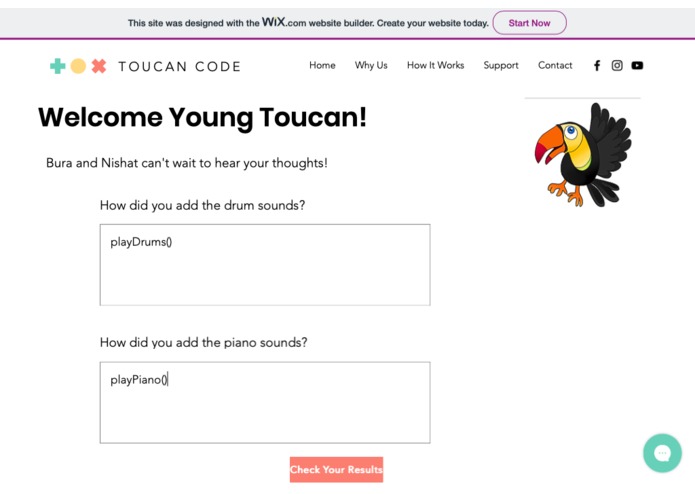 Toucan Code – screenshot 2