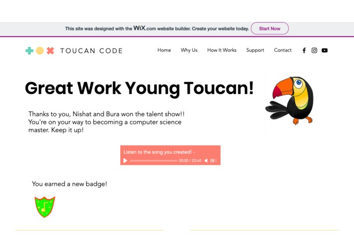 Toucan Code – screenshot 3