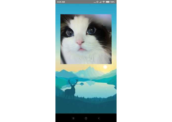 Smile4Real – screenshot 2