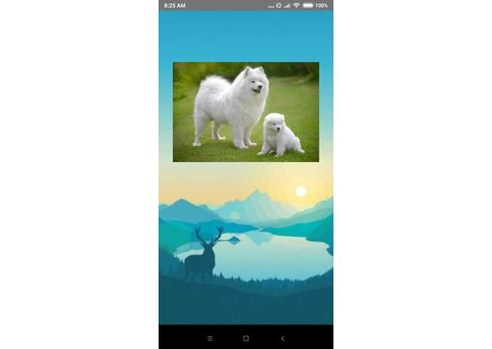 Smile4Real – screenshot 3
