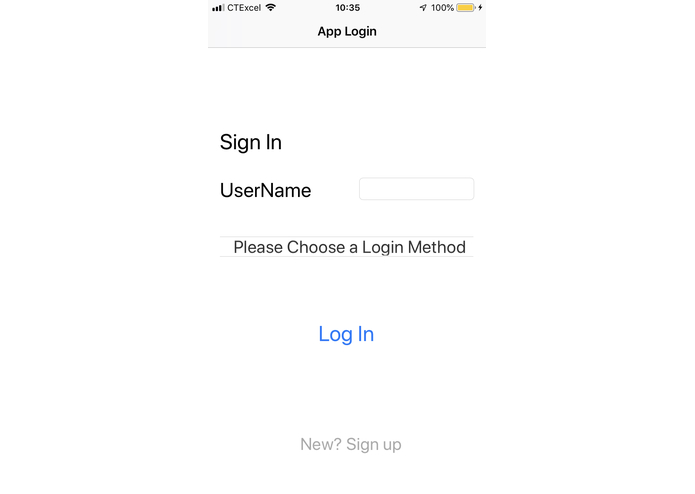 faceLogin – screenshot 1