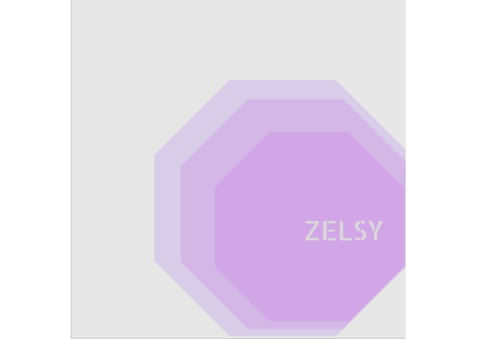 zelsy – screenshot 1