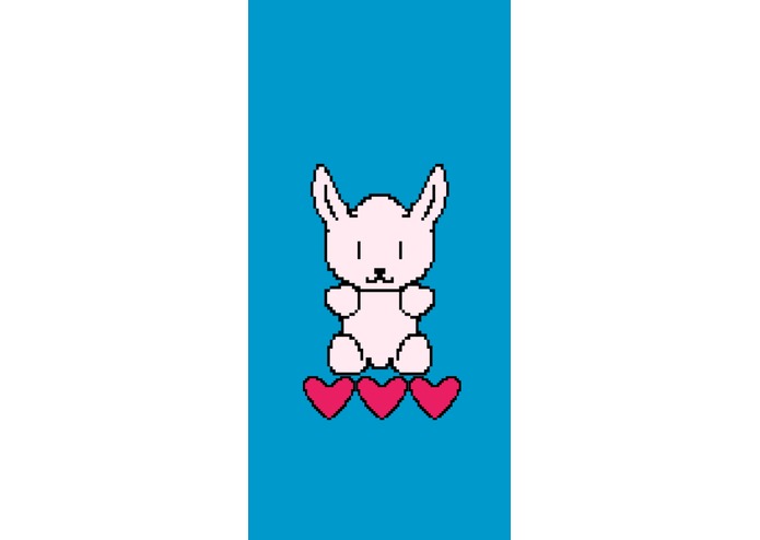 BudgetBunny – screenshot 2