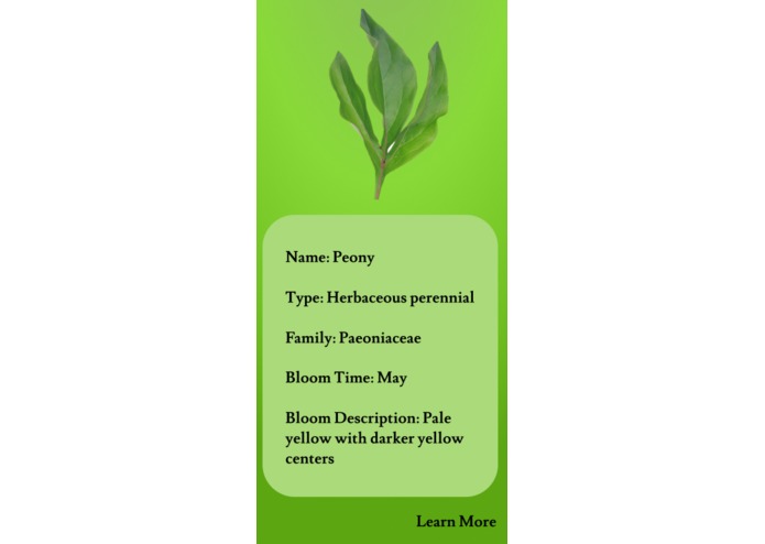 FoliumAI – screenshot 4