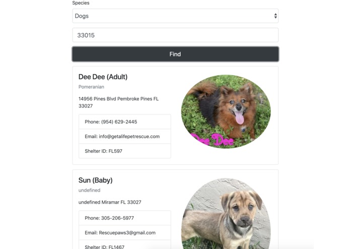Pawfect Match – screenshot 2