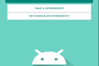 Useless Screenshot app