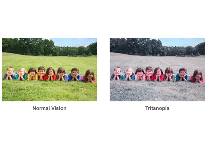 Computer Vision for the Color Blind – screenshot 2