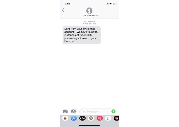 Swiper No Mauling – screenshot 1