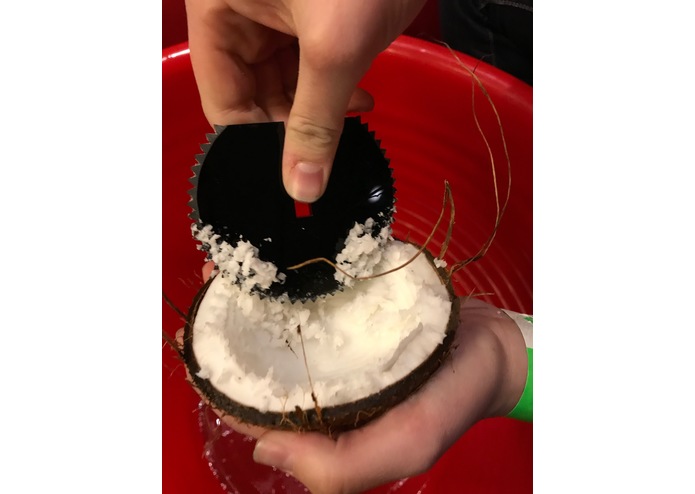 CocoGogo – screenshot 4