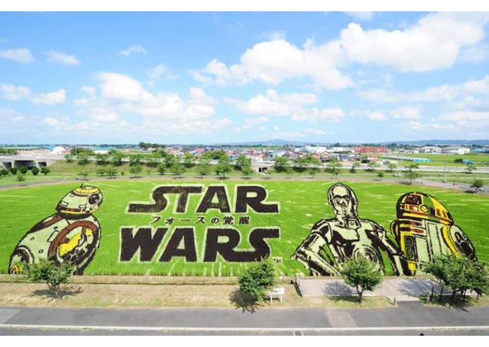 Pixel Farm – screenshot 1