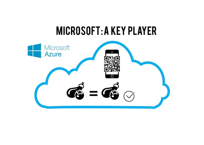 Plantify – screenshot 7