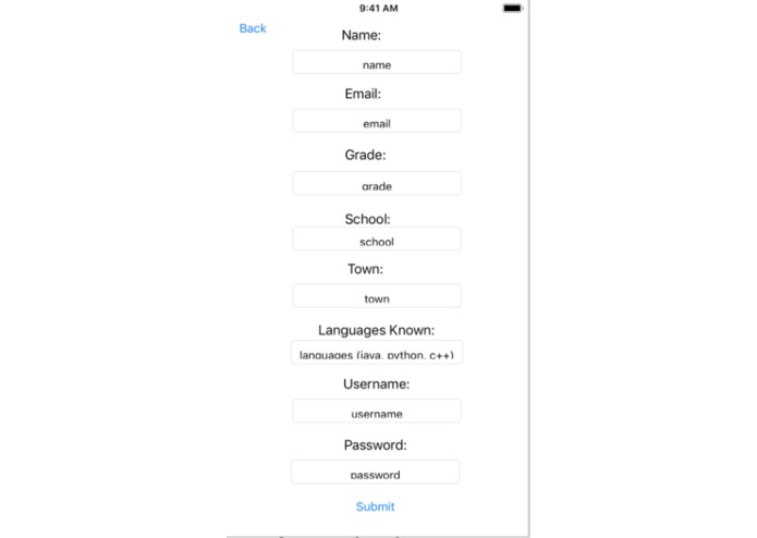 Software Sisters – screenshot 1