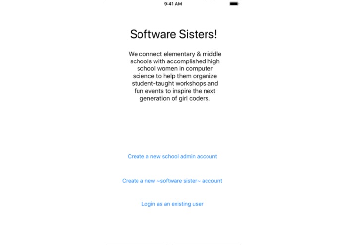 Software Sisters – screenshot 3