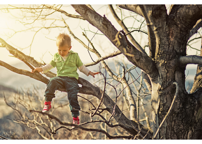 The Tree Challenge – screenshot 7