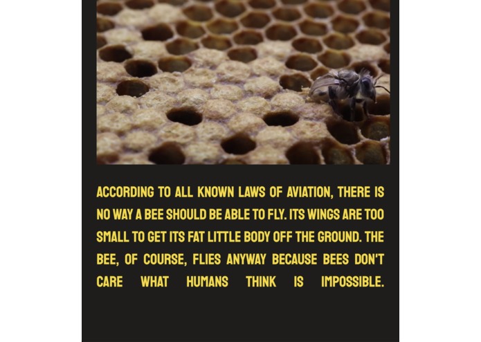 Bee Worried – screenshot 1