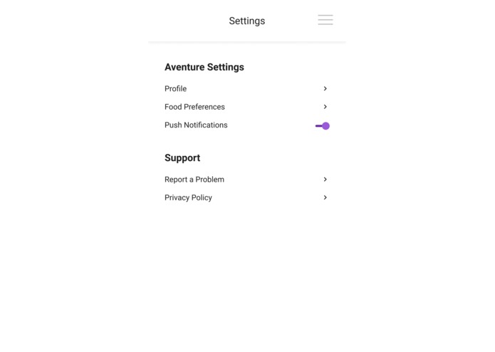 Aventure – screenshot 11