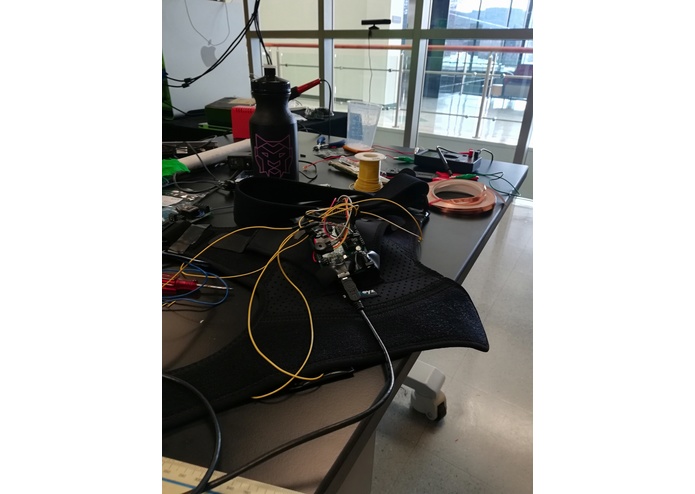 BraceBioData – screenshot 1