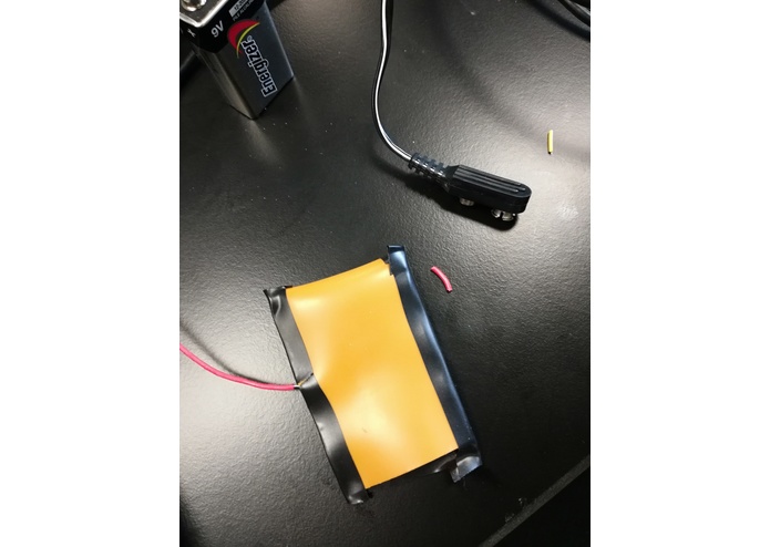 BraceBioData – screenshot 2