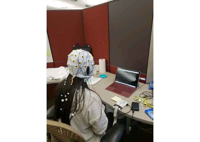 BrainRover – screenshot 2