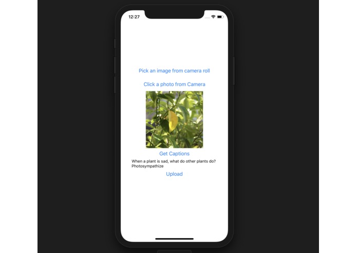 Lazy Captions – screenshot 1