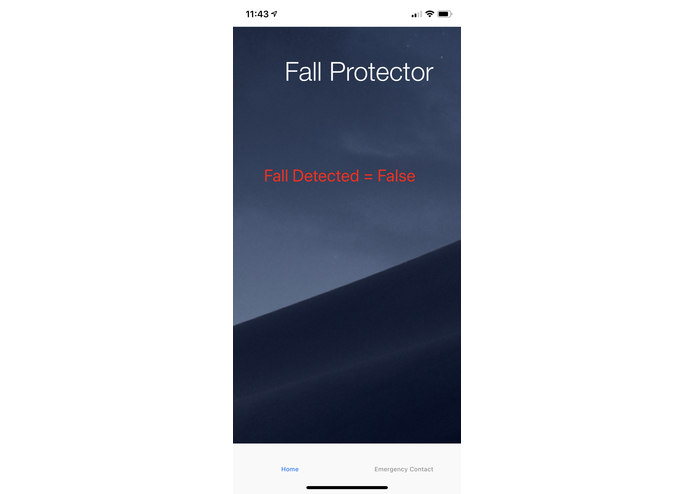 Fall Detector – screenshot 3