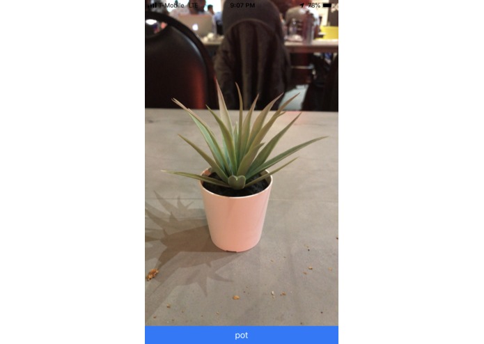 Smart See – screenshot 1