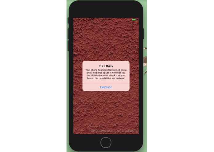 Brik – screenshot 2