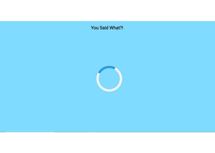 You Said What?! – screenshot 2