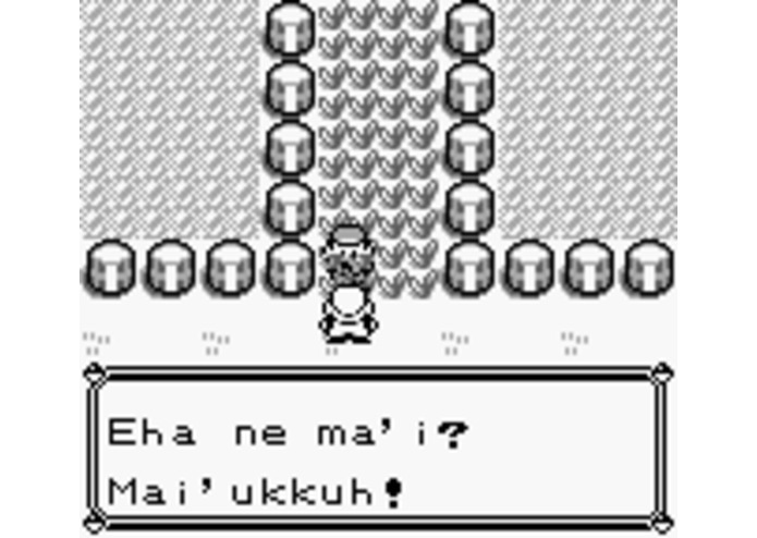 Pokemon A̲i̲nka Version – screenshot 2