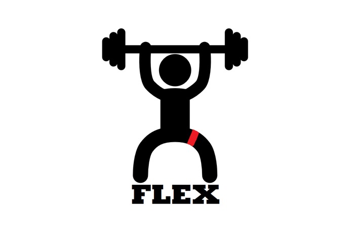 FLEX – screenshot 1