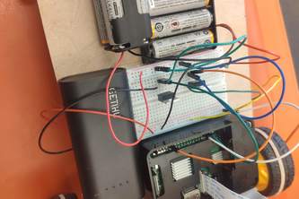 The Roaming Watchman