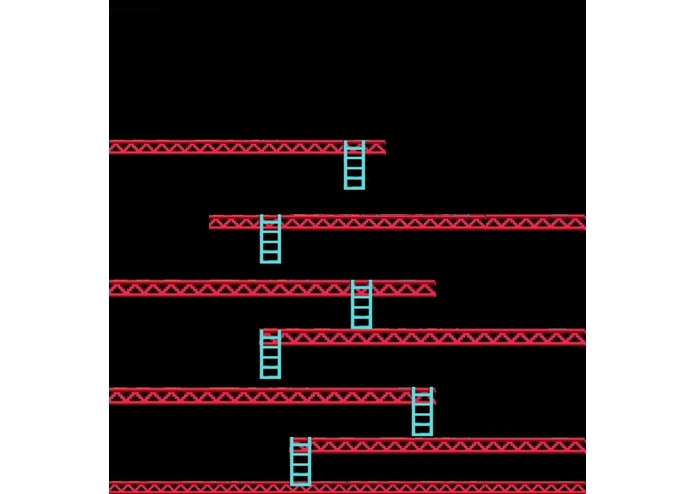 Kongey Donk – screenshot 6