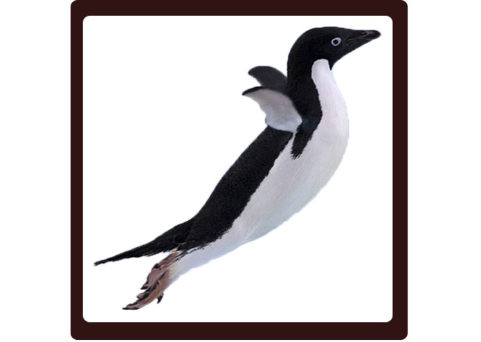 FlappyPenguin – screenshot 1